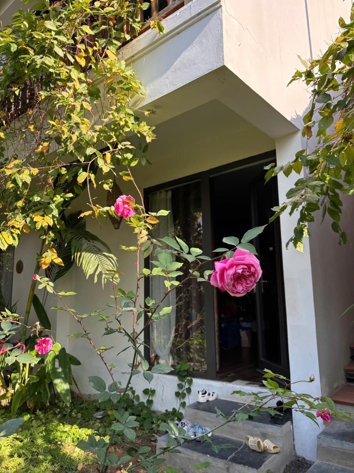 Hotel Nan House - Tam Coc Ninh Binh Exterior foto